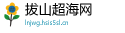 拔山超海网